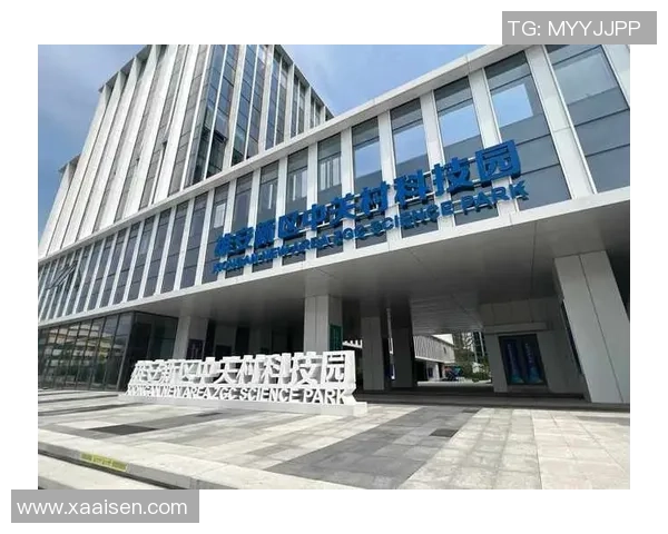 王汝恒：探索科技创新与传统文化融合的新路径与实践