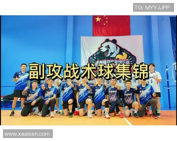 重庆排球队反击体系解析与战术创新探讨